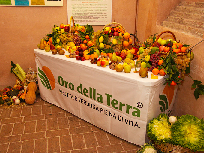 Oro della Terra alla Mostra Micologica di Macerata