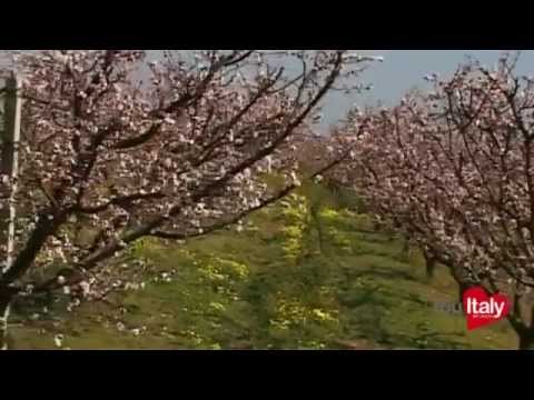 Basilicata Metaponto terra generosa