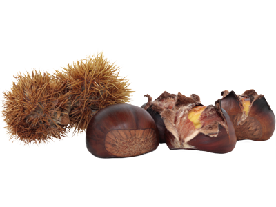 castagne
