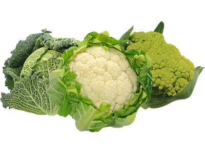 cavoli