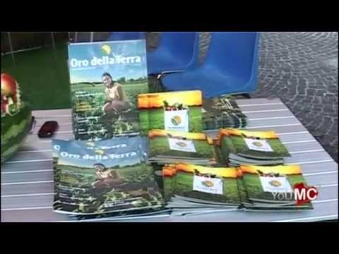 Danza Allstyle si chiude con la frutta