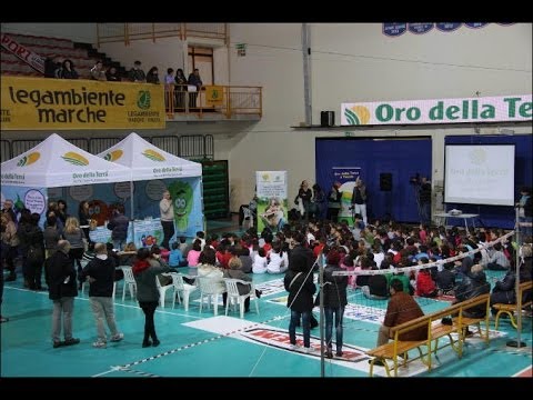 Evento finale al palazzetto di Macerata