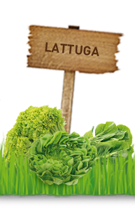 LATTUGA