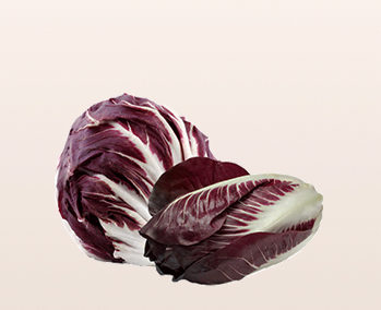 Radicchio