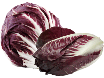 RADICCHIO