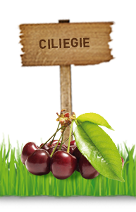 CILIEGIE