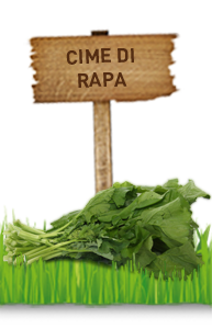 CIME DI RAPA