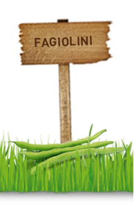 FAGIOLINI