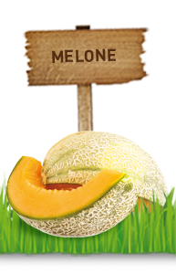 MELONE