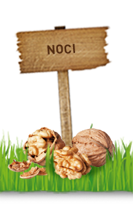 NOCI
