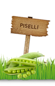 PISELLI