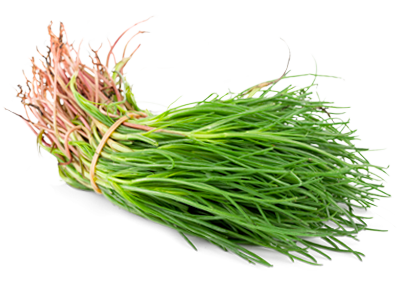 AGRETTI