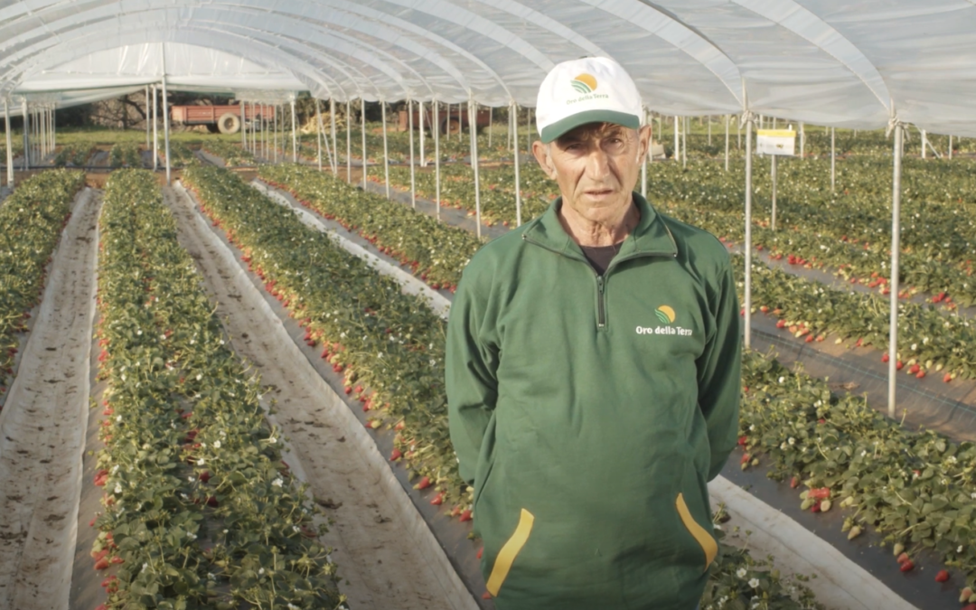 La voce dei nostri agricoltori: Ottavio Santulli.