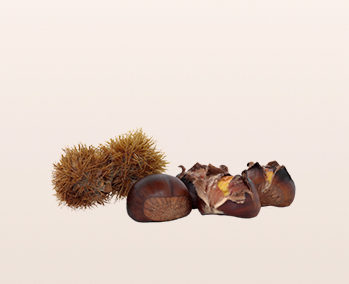 Castagne