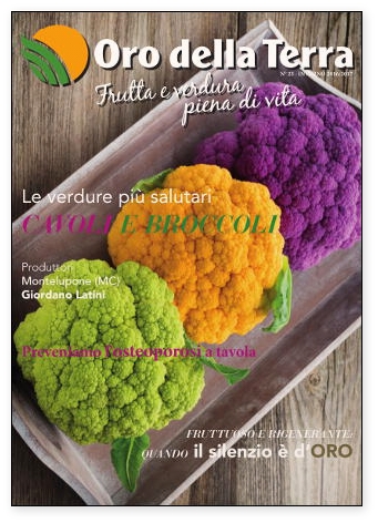 NUMERO 10 – INVERNO